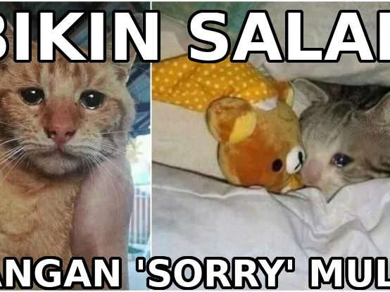 Biar Kayak Bule: 5 Cara Bilang ‘Maaf’ Selain ‘Sorry’