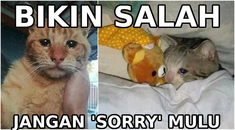 Biar Kayak Bule: 5 Cara Bilang ‘Maaf’ Selain ‘Sorry’ Biar Kayak Bule: 5 Cara Bilang ‘Maaf’ Selain ‘Sorry’