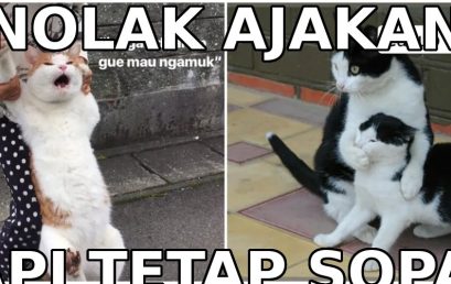 Biar Kayak Bule: 5 Cara Nolak Halus Selain ‘No’