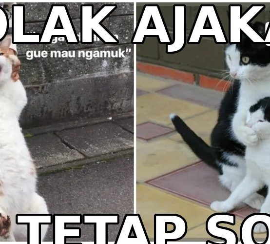 Biar Kayak Bule: 5 Cara Nolak Halus Selain ‘No’