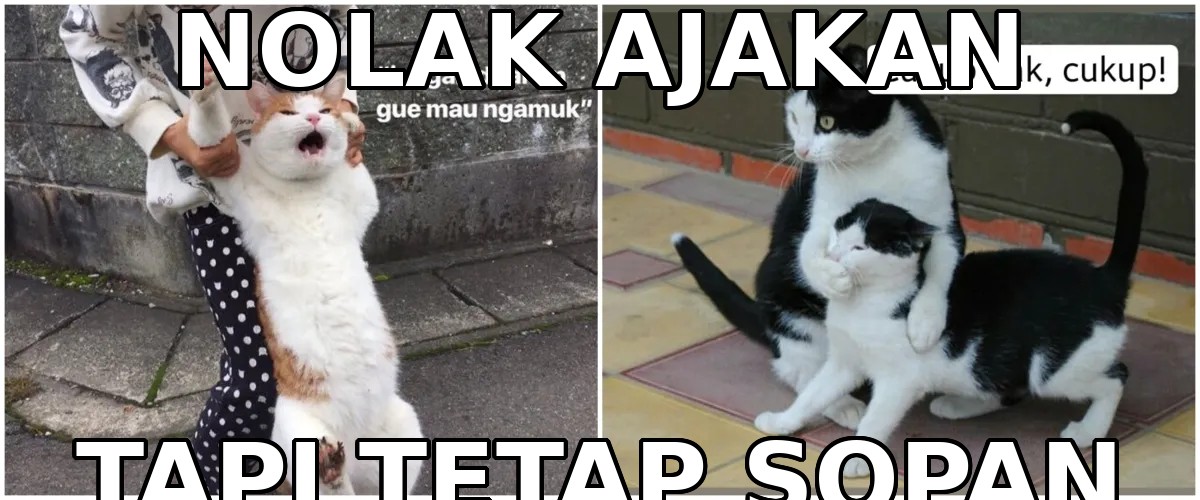 Biar Kayak Bule: 5 Cara Nolak Halus Selain ‘No’